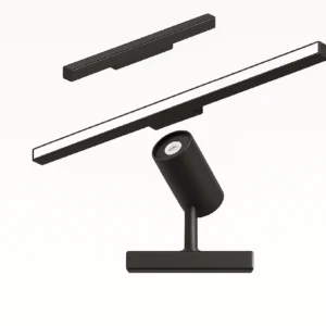 Magnetic Linear Light